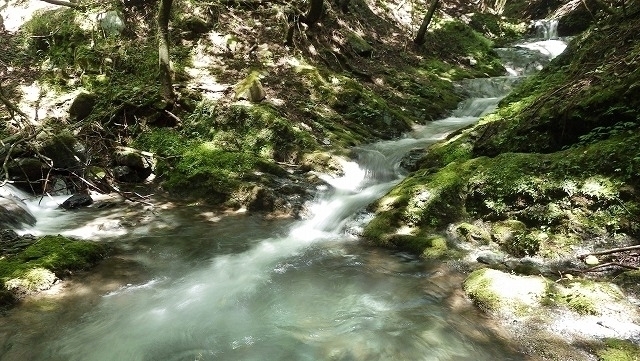 IGA_0628.jpg