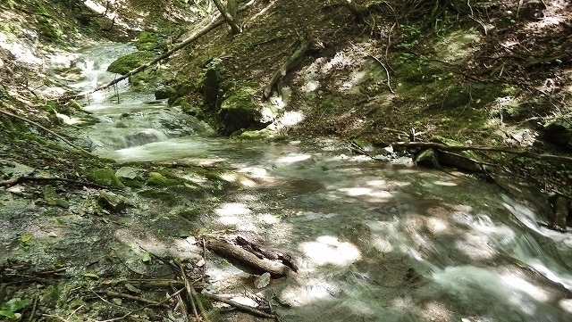 IGA_0647.jpg