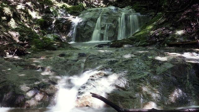 IGA_0661.jpg