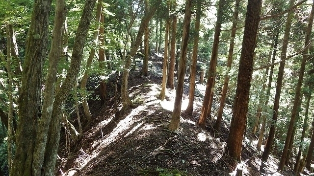 IGA_0586.jpg