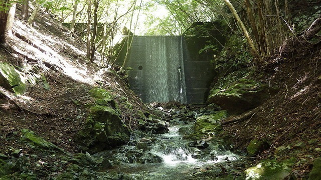 IGA_0665.jpg