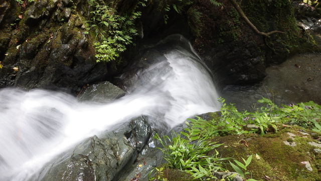 IGA_0703.JPG