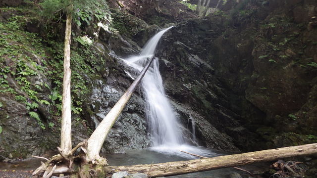 IGA_0707.JPG