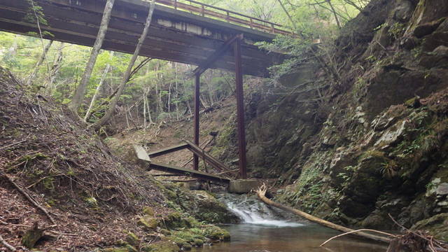 IGA_0711.JPG