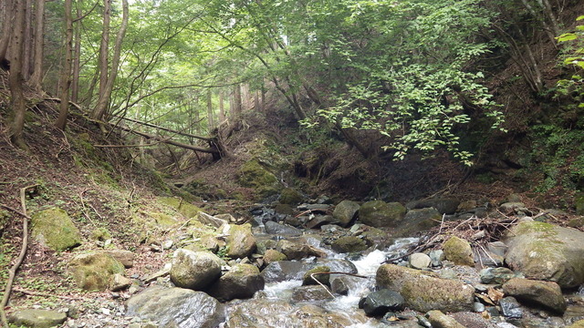 IGA_0715.JPG