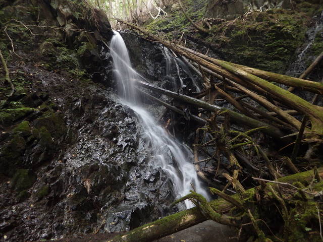 IGA_0726.JPG