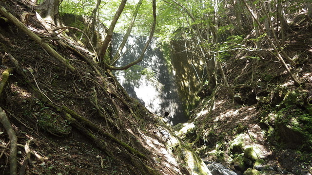 IGA_0730.JPG