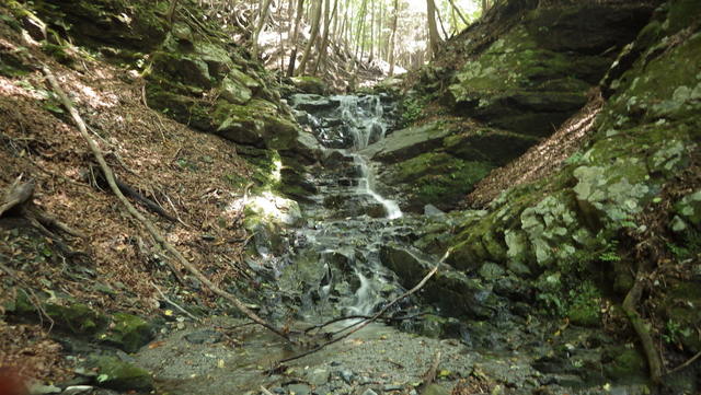 IGA_0731.JPG
