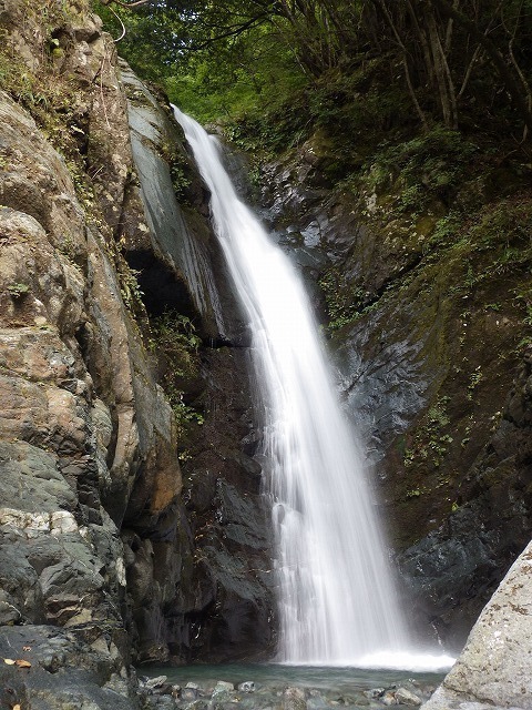 IGA_0815.jpg