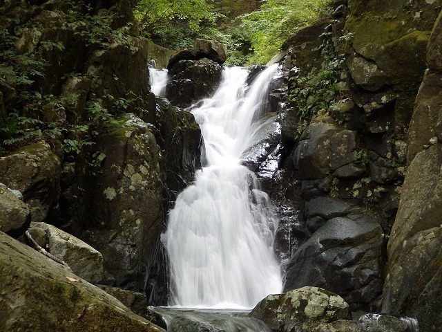 IGA_0830.jpg