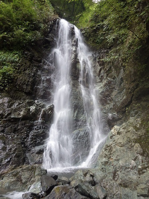 IGA_0864.jpg