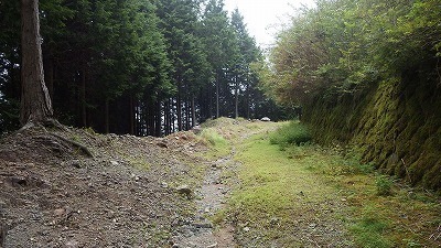 IGA_0893.jpg