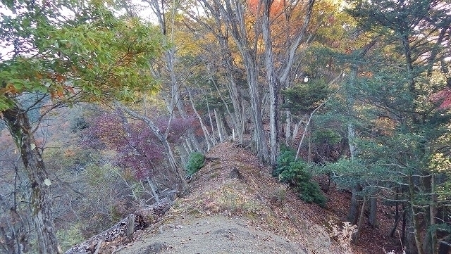 IGA_1524.jpg