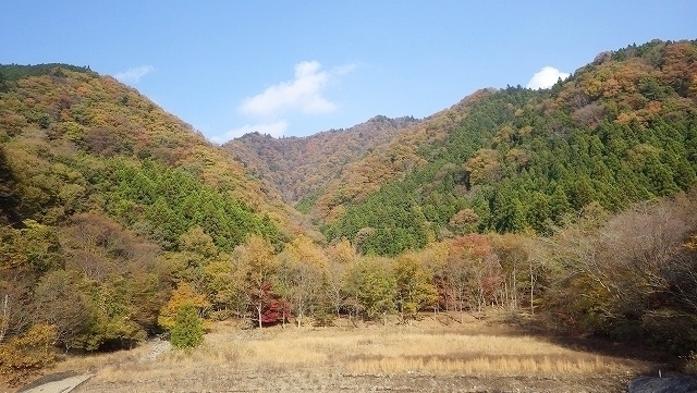 IGA_1572.jpg