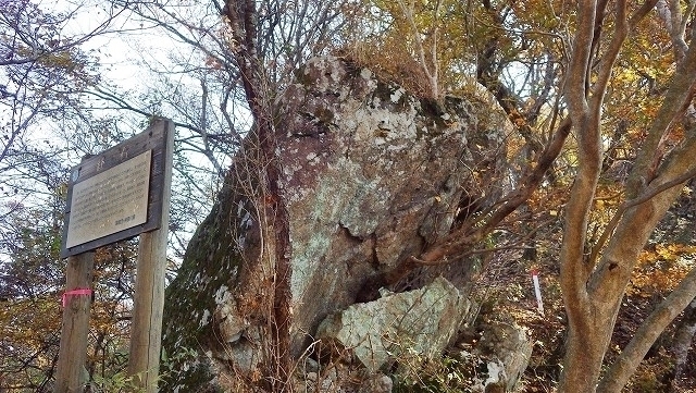 IGA_1548.jpg