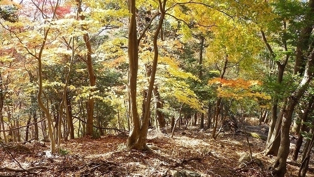 IGA_1556.jpg