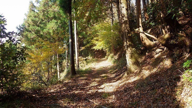 IGA_1564.jpg