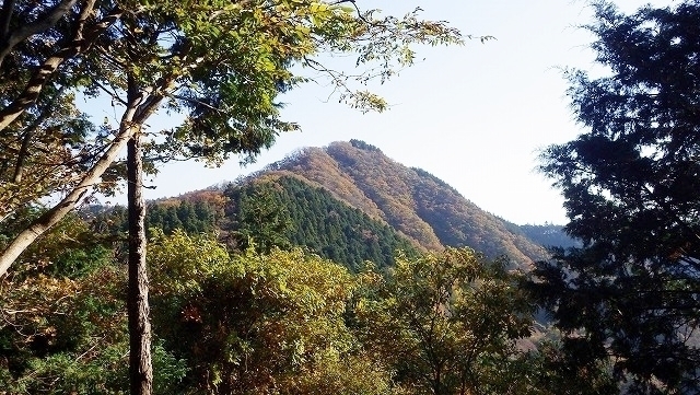 IGA_1545.jpg