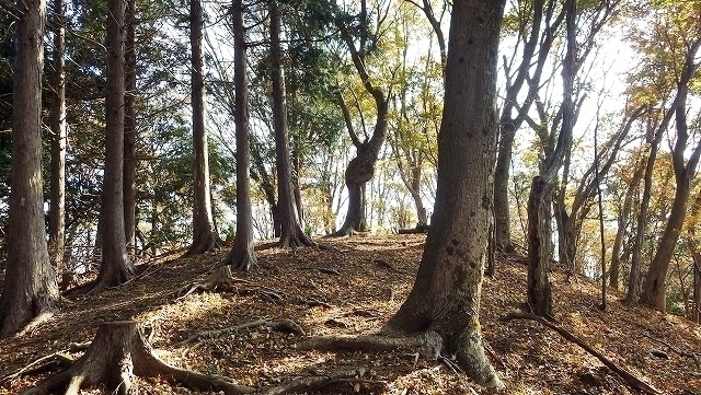 IGA_1551.jpg