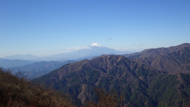 IGA_1610.jpg