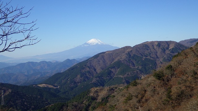 IGA_1604.jpg