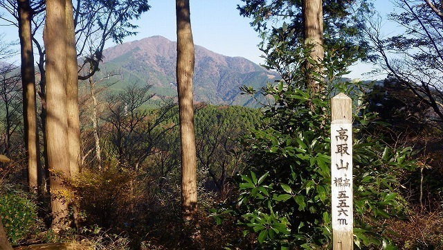 IGA_1590.jpg