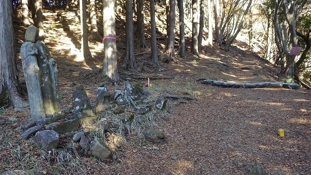 IGA_1596.jpg