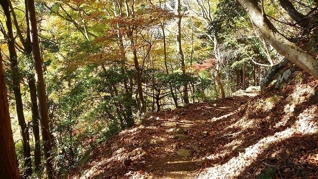 IGA_1618.jpg