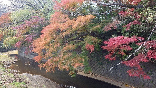 IGA_1680.jpg