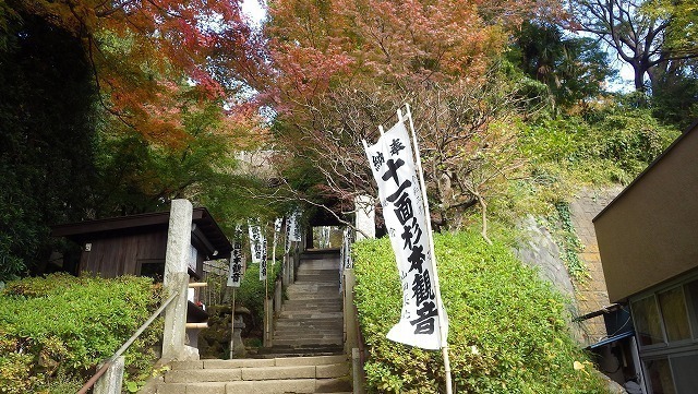 IGA_1677.jpg