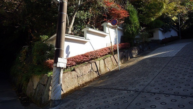 IGA_1650.jpg