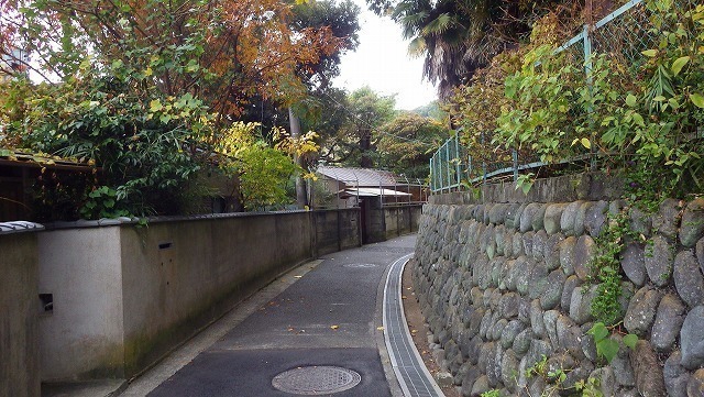 IGA_1691.jpg