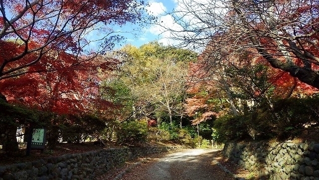 IGA_1696.jpg