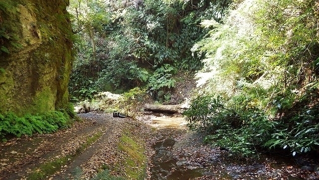 IGA_1668.jpg