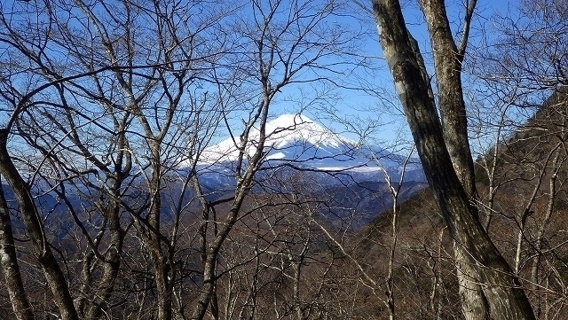 IGA_2275.jpg