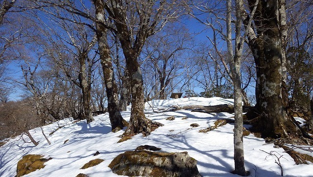 IGA_2292.jpg