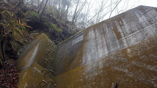 IGA_2484.jpg