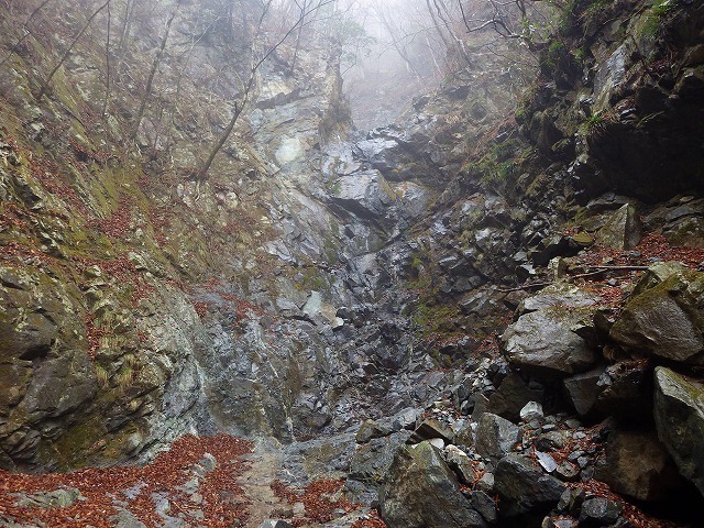 IGA_2492.jpg