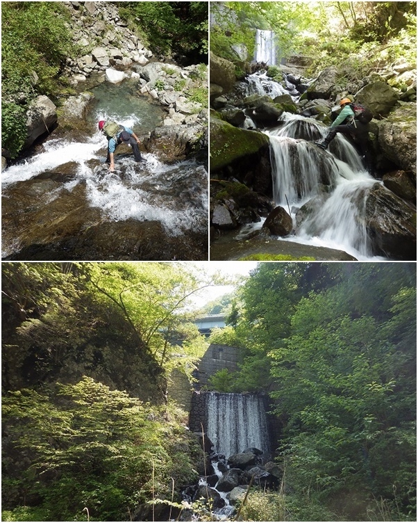 画像を等倍で表示します 画像
