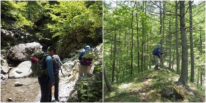 画像を等倍で表示します 画像