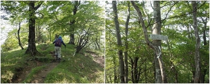 画像を等倍で表示します 画像
