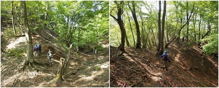 画像を等倍で表示します 画像