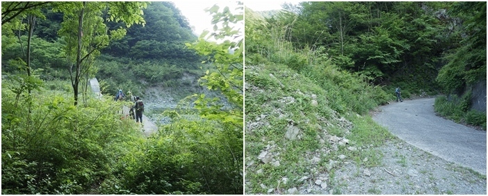 画像を等倍で表示します 画像