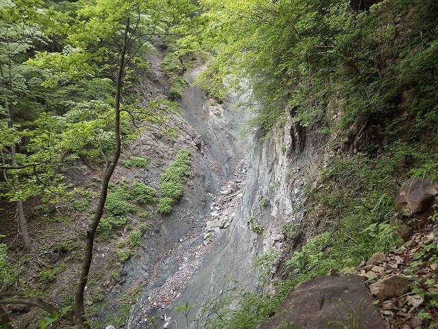 画像を等倍で表示します 画像