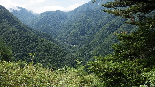 画像を等倍で表示します 画像