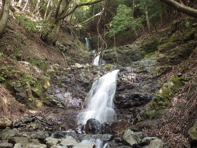 画像を等倍で表示します 画像
