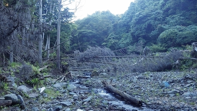 画像を等倍で表示します 画像