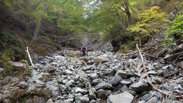 画像を等倍で表示します 画像