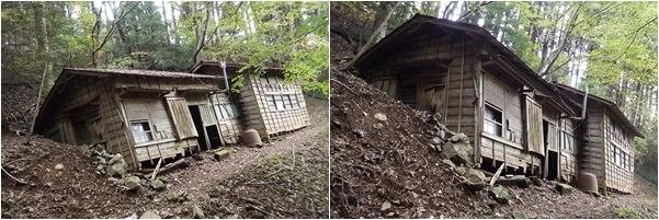 画像を等倍で表示します 画像