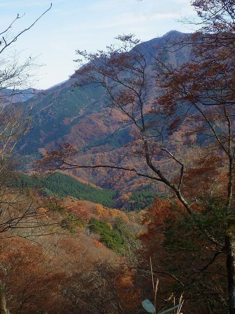 画像を等倍で表示します 画像